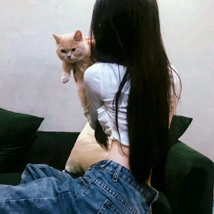 西辛2