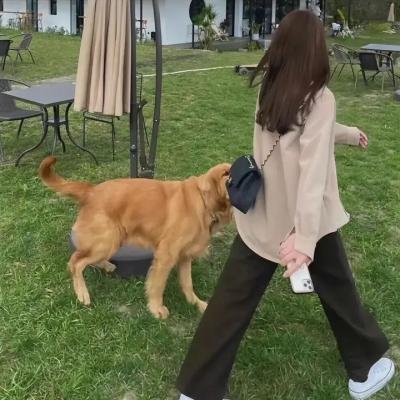 特战行动